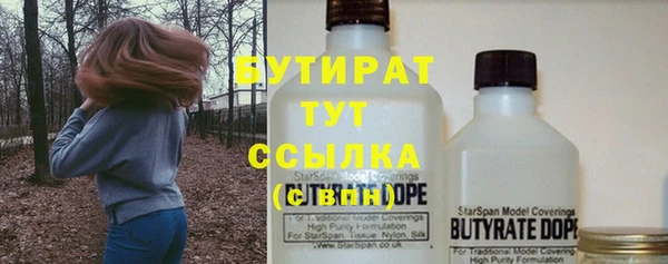 индика Киселёвск