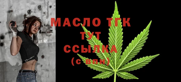 крисы Тында