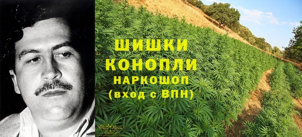 герыч Дмитриев