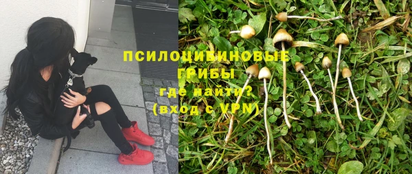 синтетический гашиш Гусь-Хрустальный